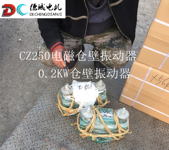 CZ250電磁倉(cāng)壁振動(dòng)器發(fā)貨_副本.jpg