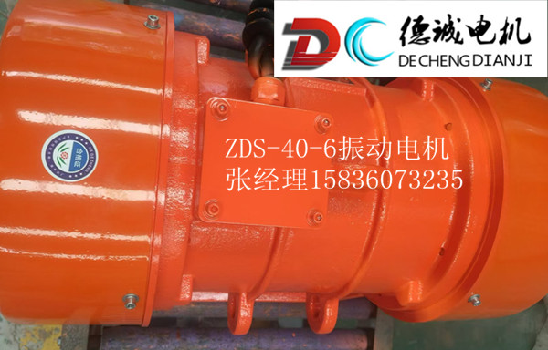 ZDS-40-6振動(dòng)電機(jī).jpg